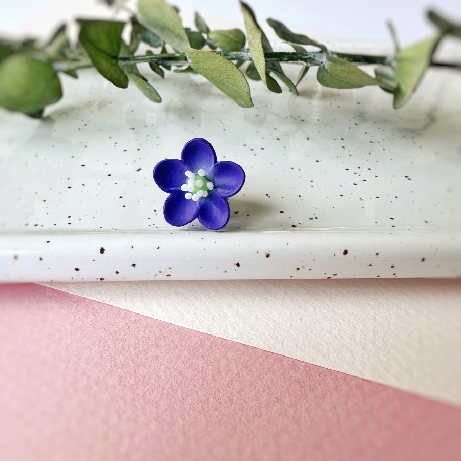 Segė Žibutė|SEG-22